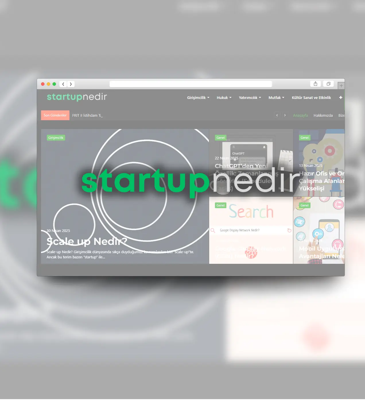 Startup Nedir
